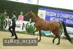 24R13_01329 thumbnail