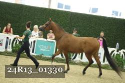 24R13_01330 thumbnail