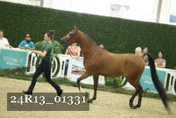 24R13_01331 thumbnail