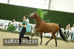 24R13_01332 thumbnail