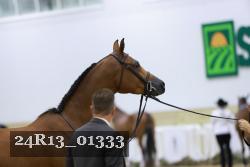 24R13_01333 thumbnail