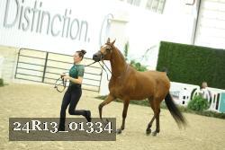 24R13_01334 thumbnail