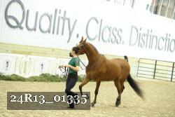 24R13_01335 thumbnail