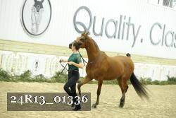 24R13_01336 thumbnail
