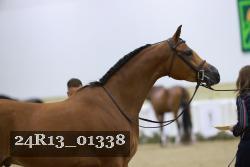 24R13_01338 thumbnail