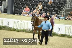 24R13_01339 thumbnail