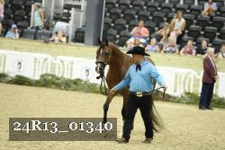 24R13_01340 thumbnail