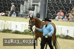 24R13_01341 thumbnail
