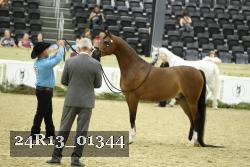 24R13_01344 thumbnail