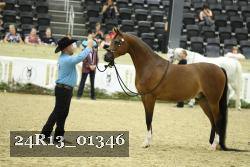 24R13_01346 thumbnail