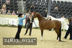 24R13_01347 thumbnail