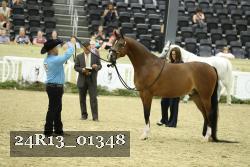24R13_01348 thumbnail