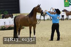 24R13_01351 thumbnail