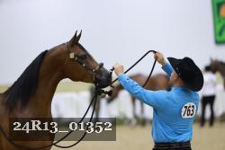 24R13_01352 thumbnail