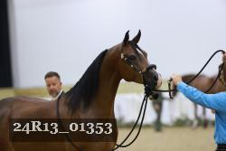 24R13_01353 thumbnail