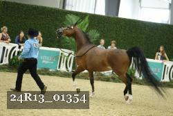 24R13_01354 thumbnail