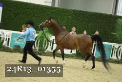 24R13_01355 thumbnail