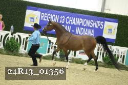 24R13_01356 thumbnail