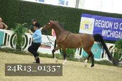 24R13_01357 thumbnail