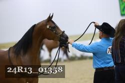 24R13_01358 thumbnail