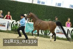 24R13_01359 thumbnail