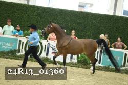 24R13_01360 thumbnail
