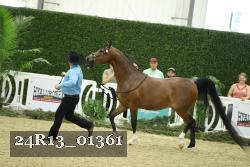 24R13_01361 thumbnail