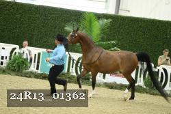 24R13_01362 thumbnail