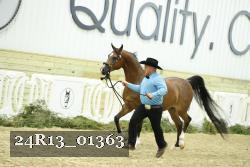 24R13_01363 thumbnail