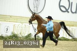 24R13_01364 thumbnail