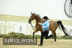 24R13_01365 thumbnail