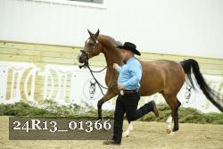 24R13_01366 thumbnail