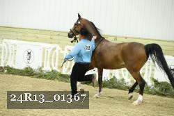 24R13_01367 thumbnail
