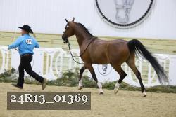24R13_01369 thumbnail