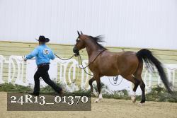 24R13_01370 thumbnail