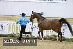 24R13_01371 thumbnail