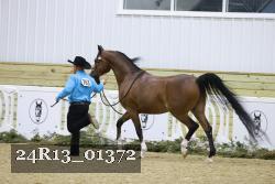 24R13_01372 thumbnail