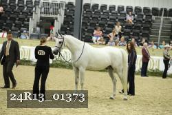 24R13_01373 thumbnail