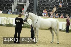 24R13_01374 thumbnail