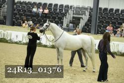 24R13_01376 thumbnail