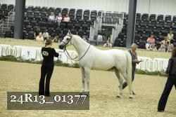 24R13_01377 thumbnail