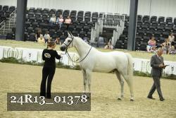 24R13_01378 thumbnail