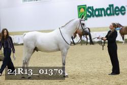 24R13_01379 thumbnail