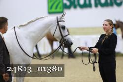 24R13_01380 thumbnail
