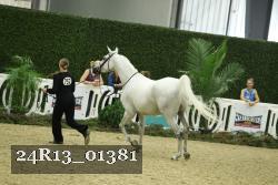 24R13_01381 thumbnail