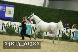 24R13_01382 thumbnail