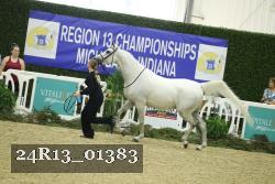 24R13_01383 thumbnail