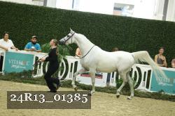 24R13_01385 thumbnail