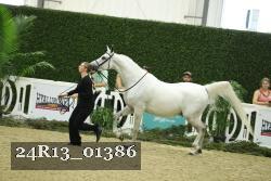 24R13_01386 thumbnail