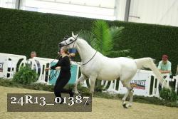 24R13_01387 thumbnail